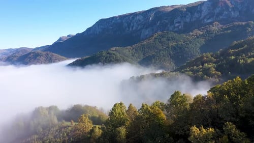 Flying over autumn forest and morning mist in the valley aerial view