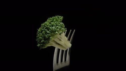 Rotating Broccoli on a Fork on Black