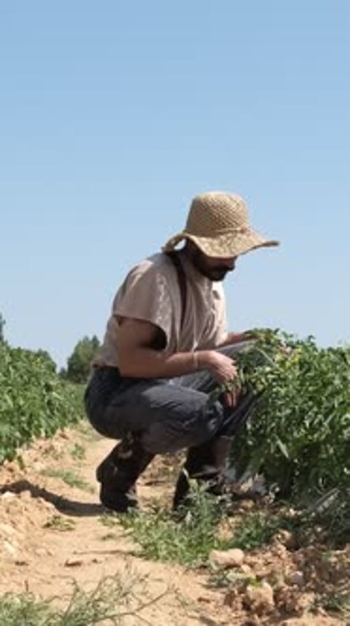 Farmer Working in Garden
