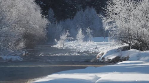 Frozen River Flowing Through Snowy Forest in Alpine Valley