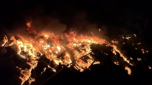 Long Stripwood Being Thrown on to an Open Fire Pit 4K