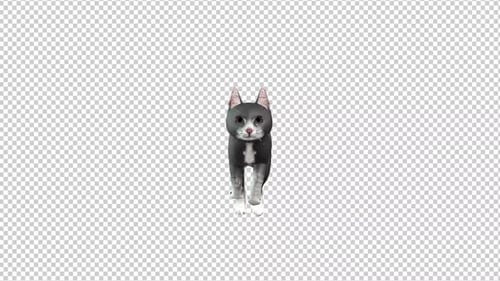 Black Cat Run transparenter Hintergrund