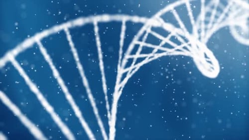 Dna Strand Double Helix Loop