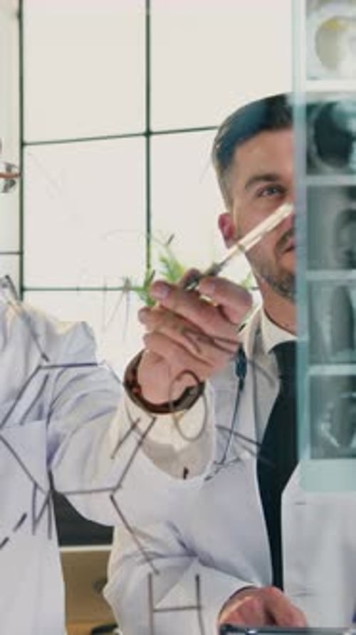 Workflow in Clinic Office Where Goodlooking Highskilled Responsible Different Ages Medical