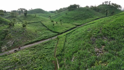 Drone view of green hill with small road