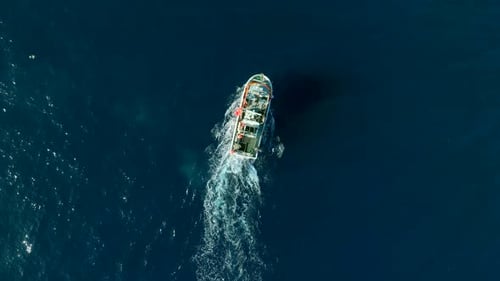 Fishing Boat Returning to Port