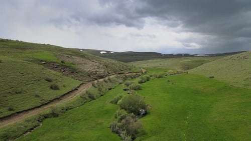 Aerial Nature Spring