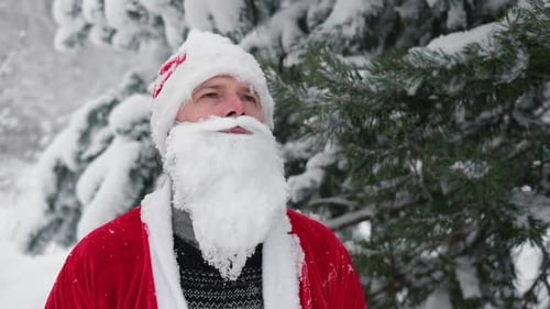Portrait of Santa Claus with White Beard Father Christmas Walking at Winter Snowy Forest Thoughtful