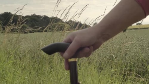 Person Holds Walking Cane in Grassy Field