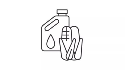 Biofuel line animation. Jerrican with corn cobs animated icon