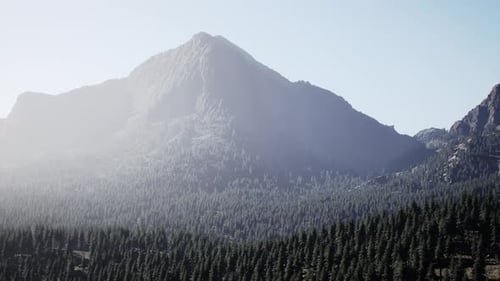 Spruce and Pine Trees and Mountains of Colorado