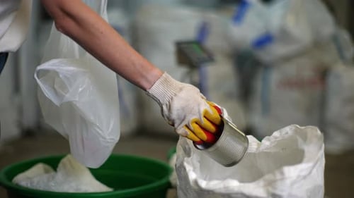 Sorting Recyclables into Bins at Recycling Plant