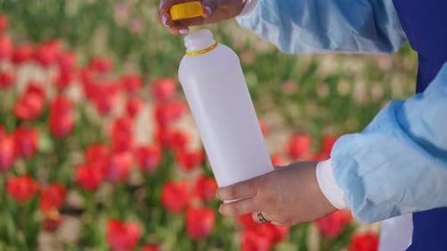 A Gardener Joyfully Holds a White Watering Bottle in a Vibrant Tulip Field Nurturing Nature