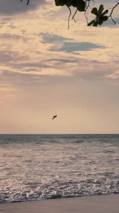 Tranquil beach sunset with ocean waves