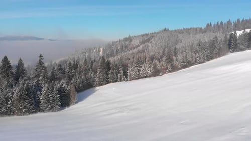 Aerial flight over snowed in winter landscape with forest and bue sky