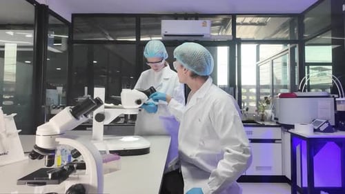 Scientists Working with Microscopes in a Bright Laboratory