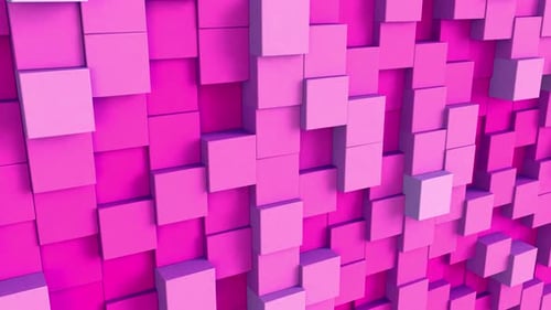 Dynamic Pink Cube Wall Animation