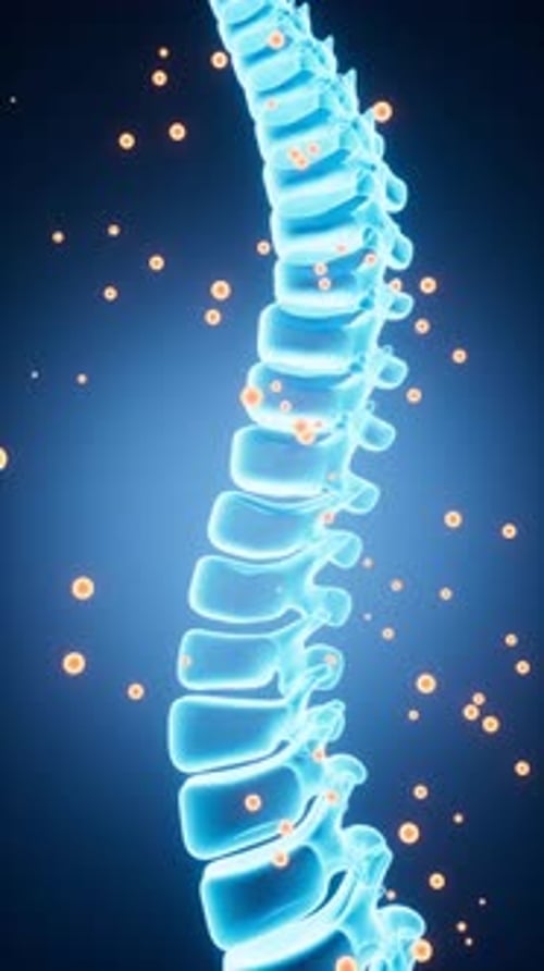 Inflammation of the human spine and drug therapy, medical concept, 3d rendering.
