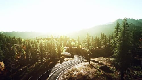 A Serene and Scenic Road Winding Through a Picturesque Forest at Sunset