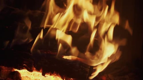 Closeup of Burning Wood in Fireplace No People
