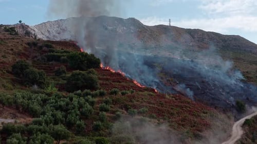 Wildfire On Mountainside Meadow and Forest on Fire