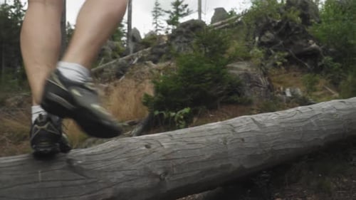 A female hiker walking on timber in the desolate forest