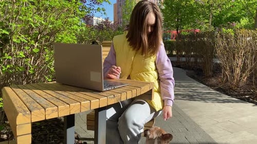 Woman Works Outdoors with Dog Companion