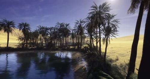Oasis tranquille avec des ombres sombres et des corps célestes scintillants