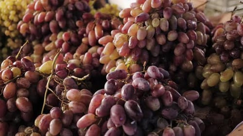 A Bunch of Grapes in a Fruit Shop