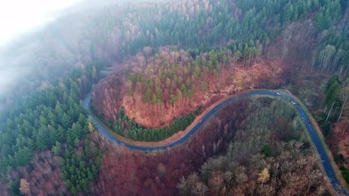 Highway Lies on Slopes of Hills in a Valley with Pine Forests Covered with White Fogs in Sunlight