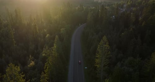 Luftaufnahme der Autofahrten auf der Straße durch die Summer Forest Road
