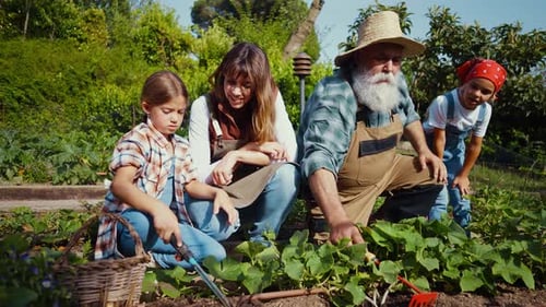 Happy family in a vegetable garden