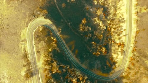 Highway 49 Bear Valley, California