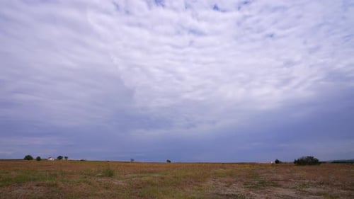 Meadow And Clouds