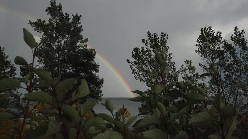 Wide shot of foreground trees with rainbow on the lake horizon line in the distance