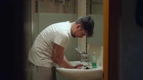 Guinea Pig Sits Still Inside the Sink While Getting Bathed at Home By Its Owner Medium Shot