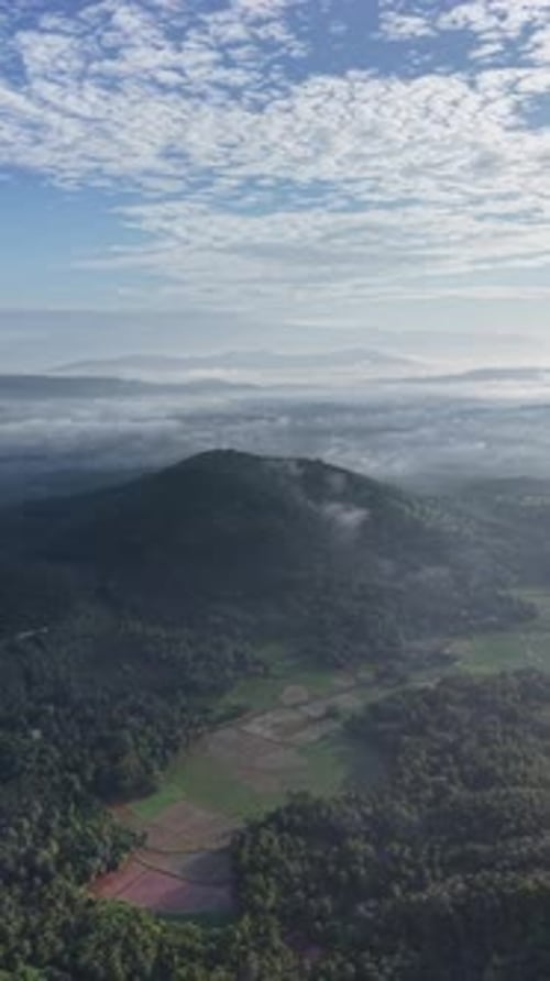 Verdure du Kerala sous lumière naturelle Hd