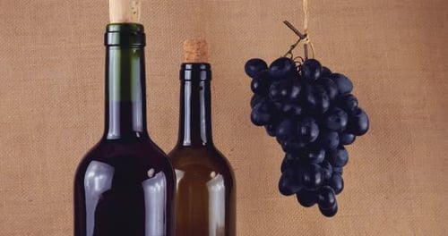 Grapes and bottles of wine on a burlap background.