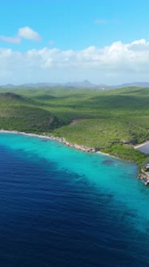 Vertical aerial view of Caribbean beach coastline with green and turquoise tones