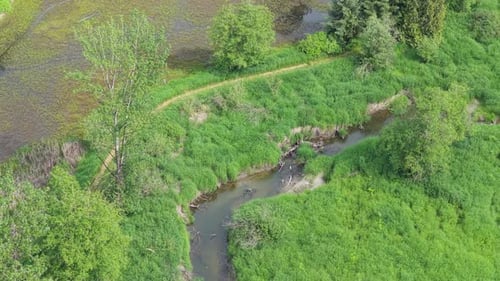 Vista aérea de um riacho sereno que serpenteia pela exuberante floresta verde na Colúmbia Britânica