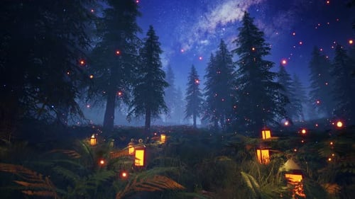 Fantasy Forest With Lanterns Looped 4K