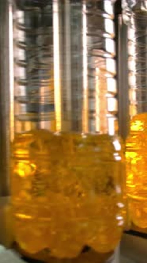 Bottles of Golden Liquid Oil in a Production Line with Bright Lighting and Industrial Setting