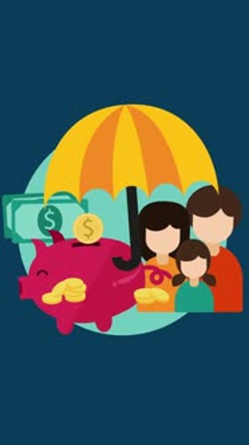 Insure Your Money Safely For Your Future Vertical