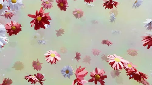 Animated Falling Red and White Flowers Background