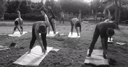 Multiracial senior friends enjoying yoga outdoors in a sunny city park