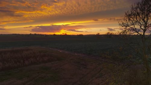 Atmospheric summer autumn sunset with waving wild grass in sunlight, rural meadow or field in