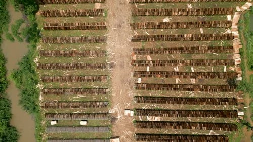 Zenithal Shot of the Planks Stored Outside the Carpentry Shop From Drone View in Vietnam