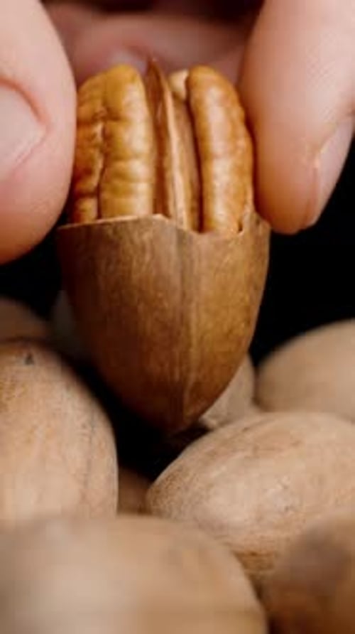 Vertical video. A man's hand places a cracked pecan with a peeled half on top of a pile of pecans.