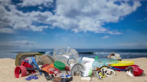 A Beach Filling Up with Trash