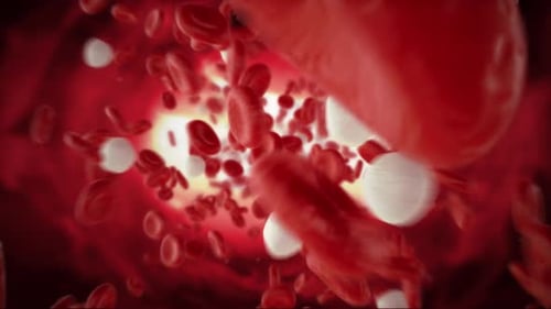 Blood Cells